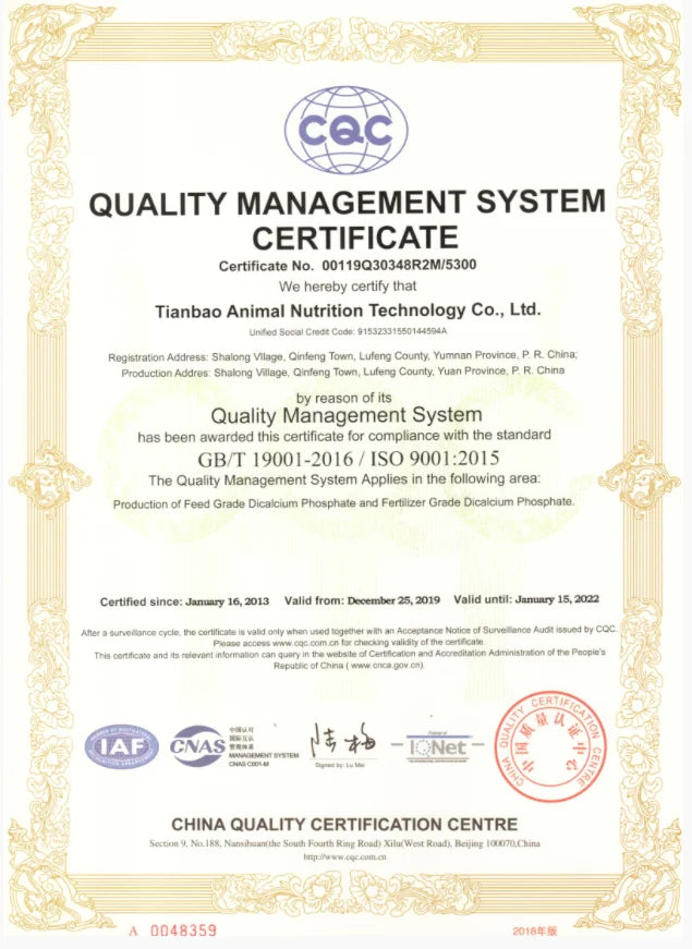 Hot Sale Fashion Women 2 Piece Set Hooded Tops + Pants Solid Winter Fleece Tracksuit Sweatshirt Sweater Hoodies Suits