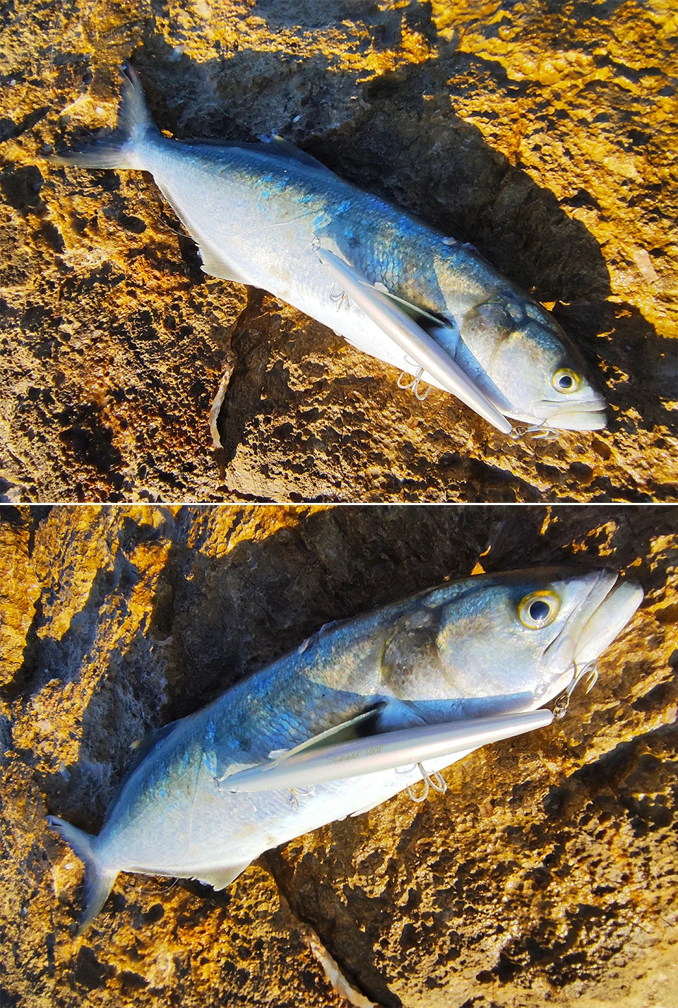 Floating Minnow Fishing Lure DW110 STINGER 163mm 31g Sea Fishing Hard Bait Piura Seabass Baits