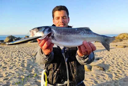 Sinking Minnow Fishing Baits140mm Saltwater Lures Pike Big Game Sea Fishing Tackle Stinger Hard Wobbler