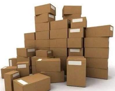 Short Women Color Printed Sport Workout Yoga Leggings academia