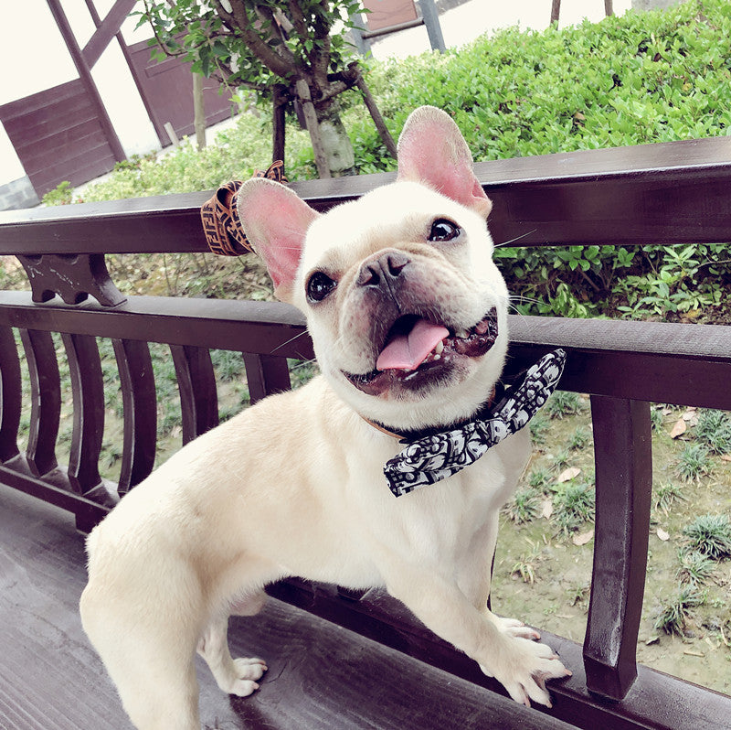 Handsome Dog Bow Tie Collar-1