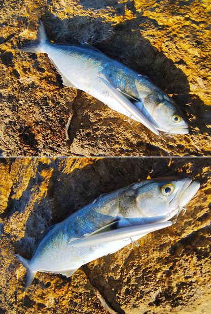 31g Floating Minnow STINGER 160F Saltwater Fishing Lure  Ultra-long Casting Hard Baits 500G Large Baits