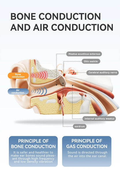 Sanag B21S Bone Conduction Wireless Earphones Bluetooth 5.4 HiFi Bass Headphones IPX5 Waterproof Running Sports Earbuds