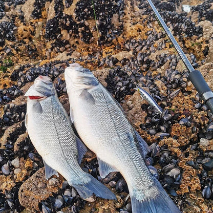 Floating Minnow 120mm 19g Long Casting Sea Fishing Lure STINGER  Center Of Gravity Hard Baits