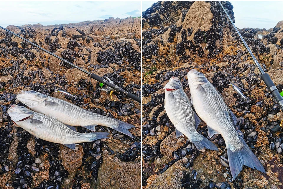 Floating Minnow 120mm 19g Long Casting Sea Fishing Lure STINGER  Center Of Gravity Hard Baits