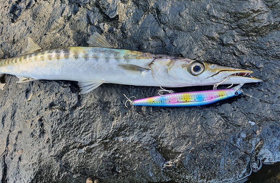 Minnow Sea Fishing Lure STINIGER 140mm 26g Piston Weight Ultra Long Casting Seabass Inshore Hard Baits